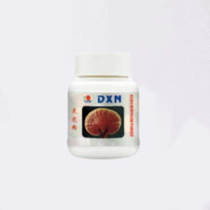 REISHI MUSHROOM POWDER 70G - بودرة فطر الريشي 70غ